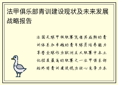 法甲俱乐部青训建设现状及未来发展战略报告